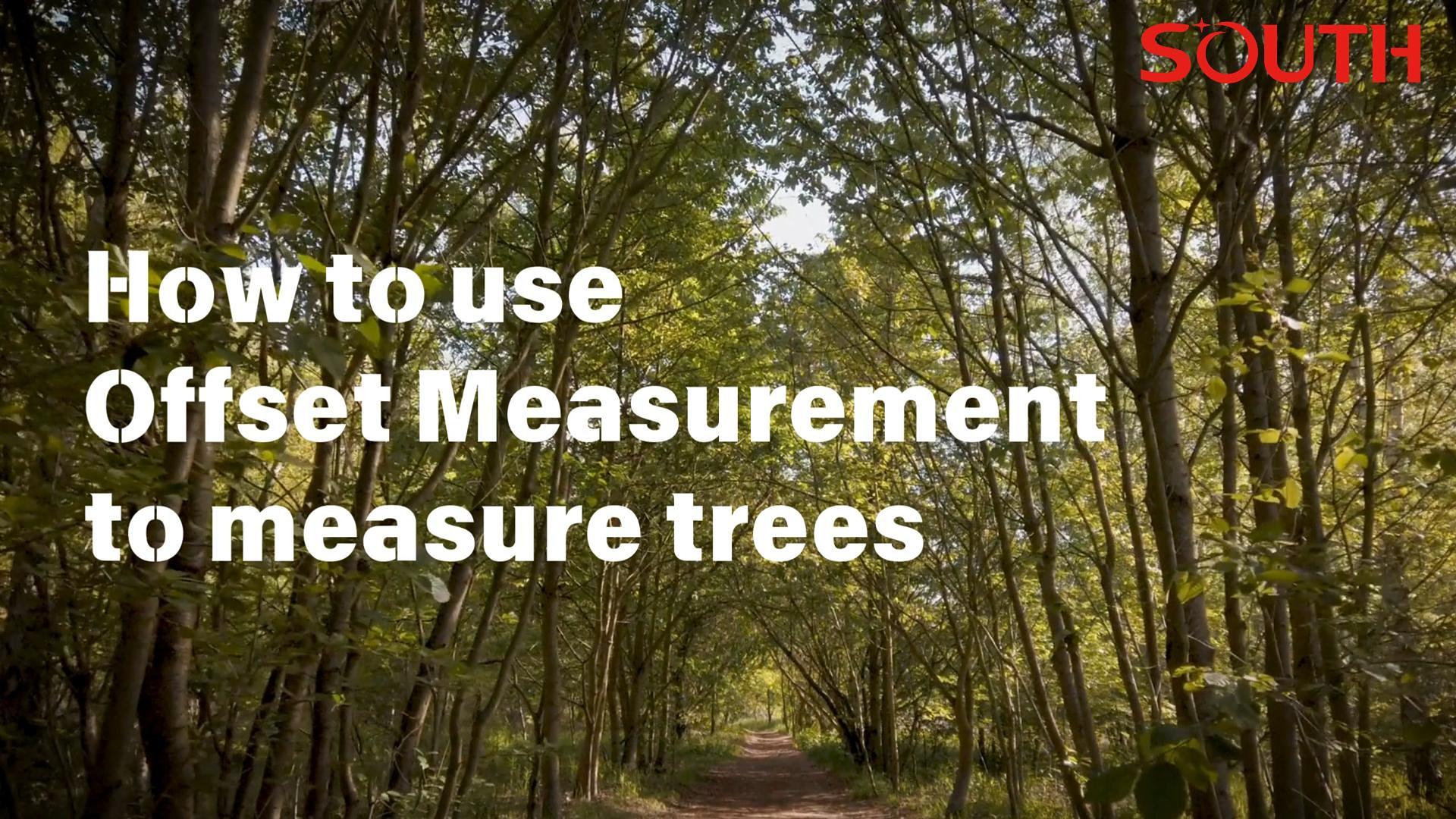 How to use measurement function to measure trees